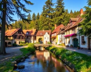 Schwalenberg – Künstlerdorf im Teutoburger Wald