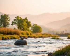 Wodurch entsteht echte innere Ruhe?