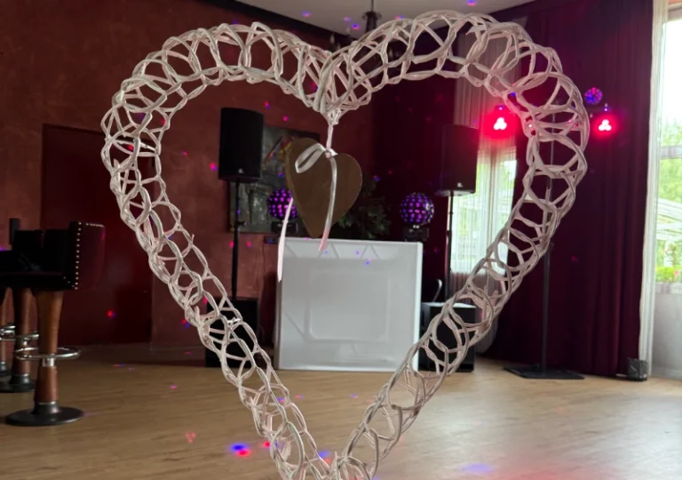 Warum DJ buchen für Hochzeit in Darmstadt?