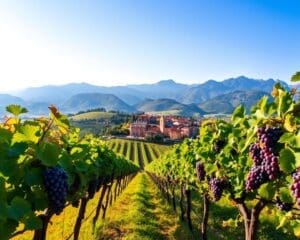 Weinregionen Italien
