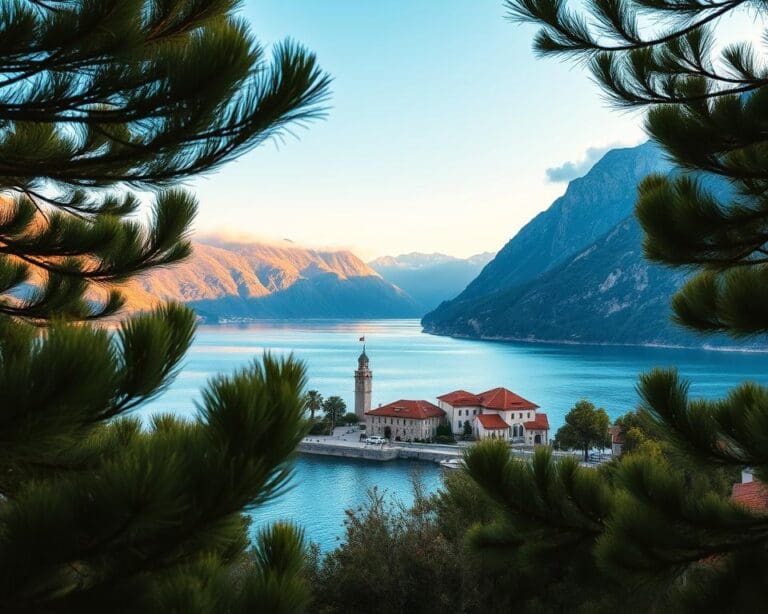 Kotor